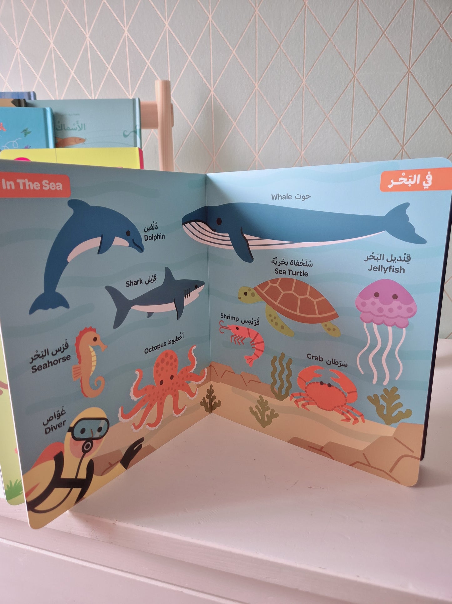 Bilder Wörterbuch - Arabisch u. Englisch